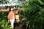 Botanical Garden Explorations: Guide to Plant Collections, Garden Layouts, and Conservation