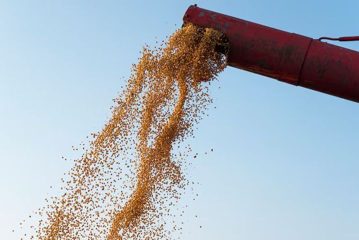 Granulation Machines: Explore Their Processes and Applications