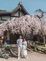 Japan Honeymoon Guide: Romantic Destinations and Unforgettable Experiences