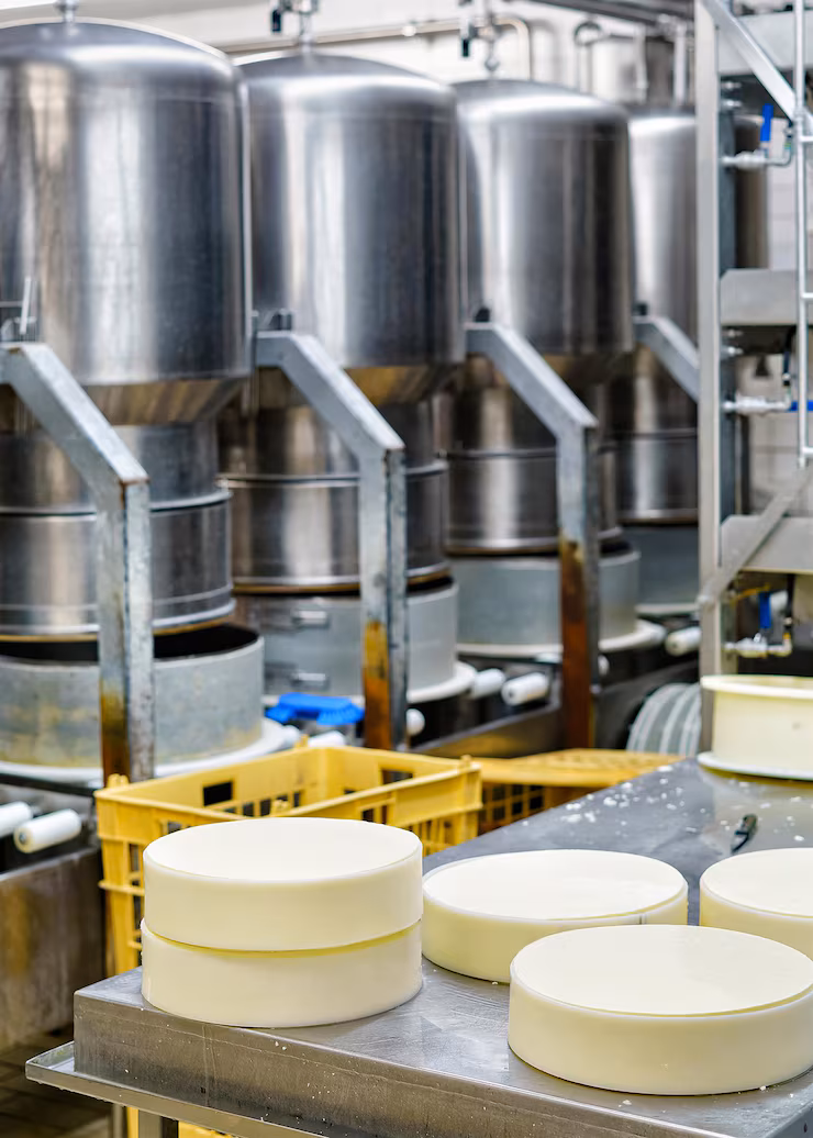 Understanding Dairy Product Processing Machinery – A Clear Guide