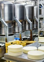 Understanding Dairy Product Processing Machinery – A Clear Guide