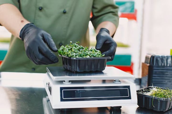 Food Packaging Metal Detectors: Guide to Inspection Technology and Production Line Integration