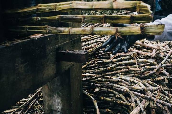 Sugarcane Harvesters: Guide to Functions, Components, and Applications