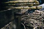 Sugarcane Harvesters: Guide to Functions, Components, and Applications