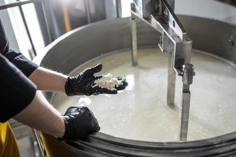 Cheese Making Machines – Complete Guide to Types, Working Process, Benefits, and Applications
