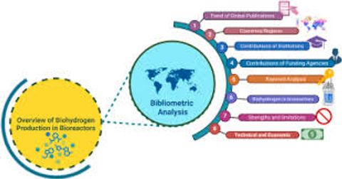 The Science of Bioreactors: Key Insights and Advanced Techniques