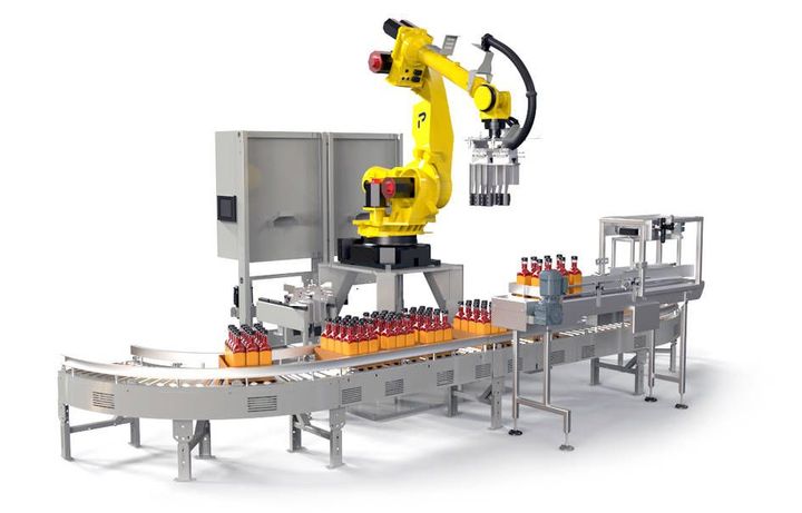 Case Packing Machines: From Product to Sealed Case