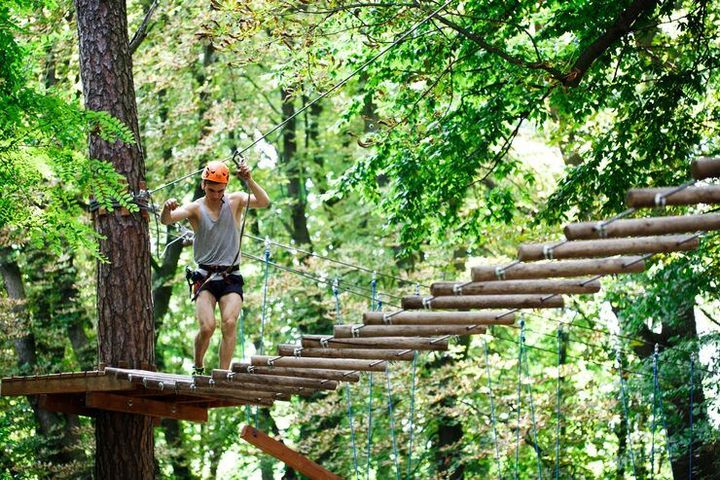 Forest Canopy Walk Adventures: Overview of Walkways, Forest Habitats, and Experiences
