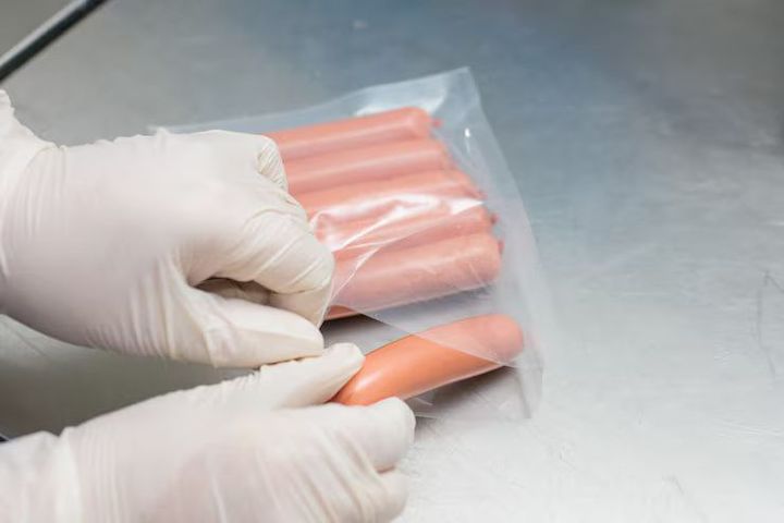 Vacuum Sealing Machines: Explore Their Features and Uses