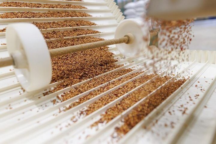 Pelletizing Lines: Explore Processes and Key Features