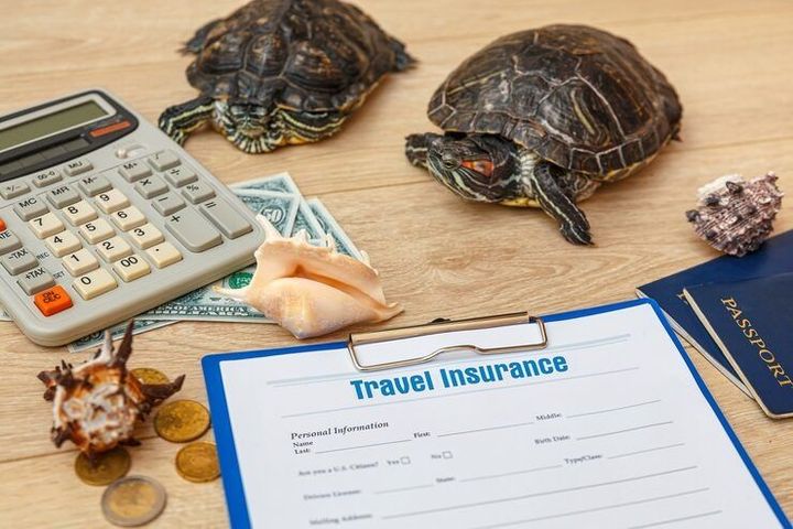 Travel Insurance Claims: Guide to the Claims Process and Key Considerations