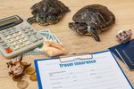 Travel Insurance Claims: Guide to the Claims Process and Key Considerations