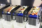 How Fruit Processing Equipment Works: A Step-by-Step Guide
