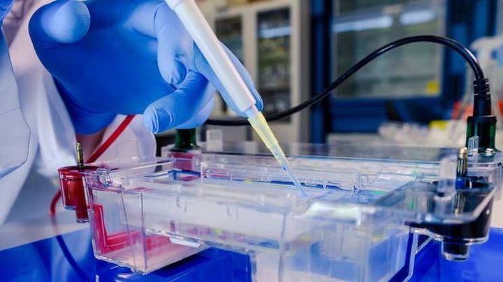 PET Preform Injection Systems: Discover How They Work and Important Facts