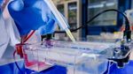 PET Preform Injection Systems: Discover How They Work and Important Facts